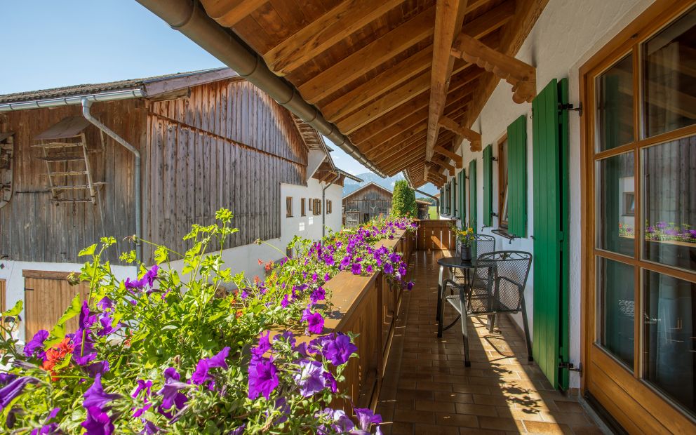 Ferienwohnung 4 im Ferienhaus Haußmann, Schwangau